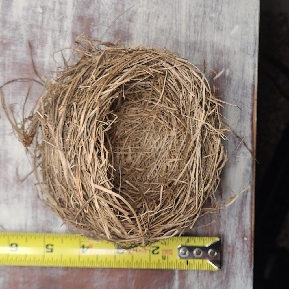 Natural Bird Nest Decor, "Put A Bird On It". - Picture 2 of 4